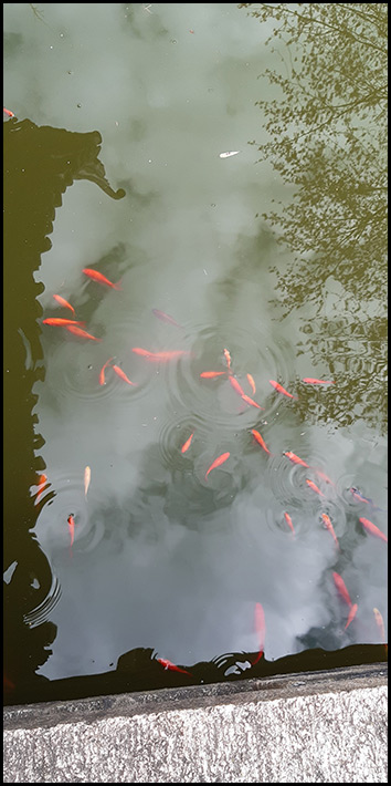 Chinesischer Garten